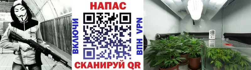 Наркота Джанкой Марихуана  ГЕРОИН  Гашиш  Cocaine 
