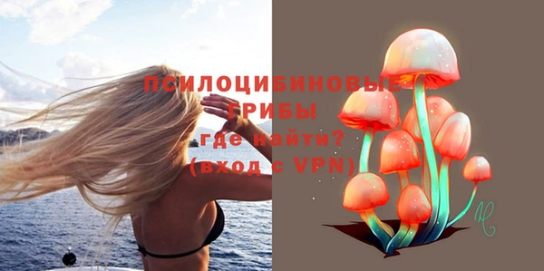 альфа пвп Гусев