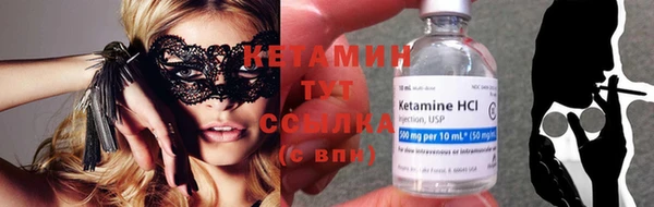 трава Гусиноозёрск