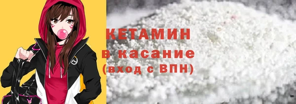 трава Гусиноозёрск
