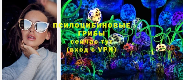 альфа пвп Гусев