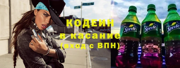трава Гусиноозёрск