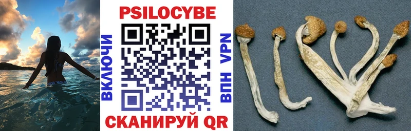нарко площадка Telegram  Джанкой  Галлюциногенные грибы Cubensis  хочу наркоту 