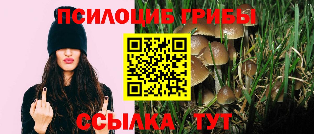 Псилоцибиновые грибы Psilocybe  Джанкой  купить наркотик  Галлюциногенные грибы Magic Shrooms 