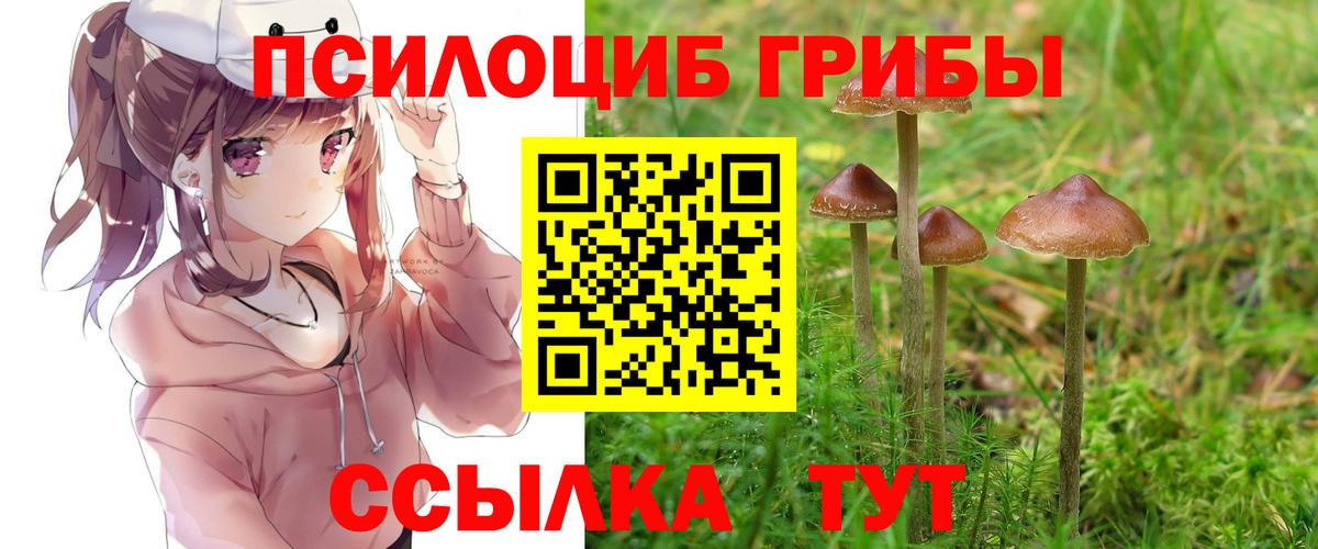 Псилоцибиновые грибы прущие грибы  Вход с VPN  Галлюциногенные грибы Psilocybine cubensis  Джанкой 