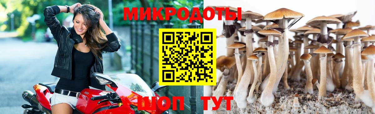 Галлюциногенные грибы Cubensis Джанкой